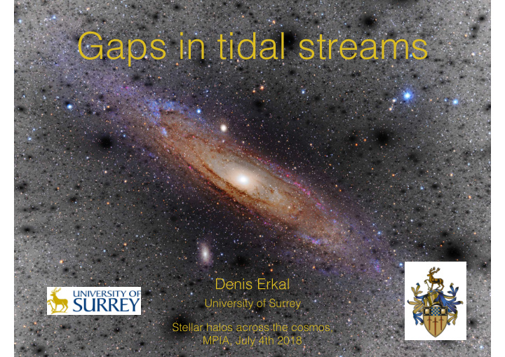 gaps in tidal streams