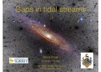 Gaps in tidal streams  Denis Erkal  University of Surrey  Stellar halos across the cosmos,  MPIA,