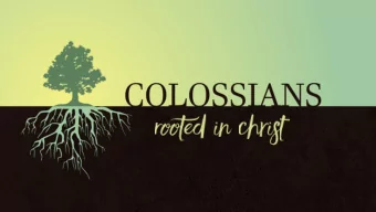 your lives in him, ROOTED and built up in him, strengthened in the  faith as you were taught, and