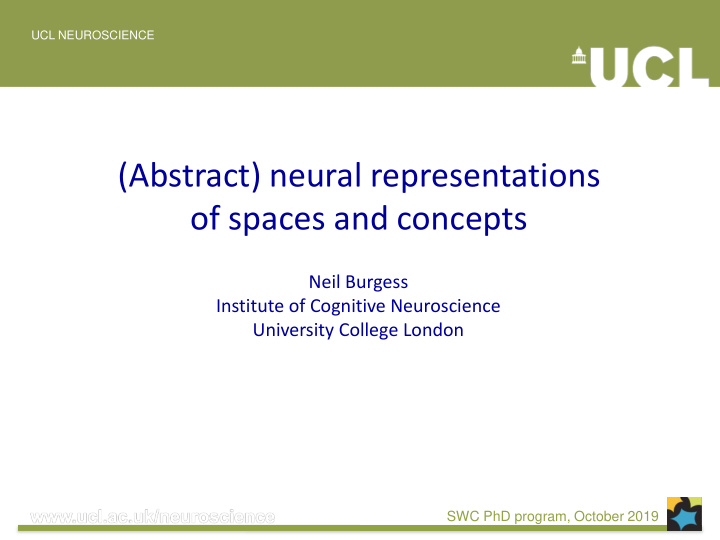 abstract neural representations