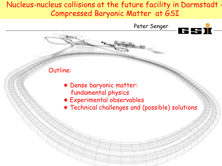 nucleus nucleus collisions at the future facility in