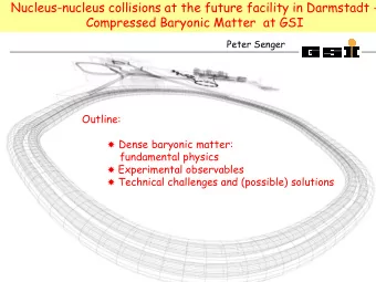 Nucleus-nucleus collisions at the future facility in Darmstadt -  Compressed Baryonic Matter  at