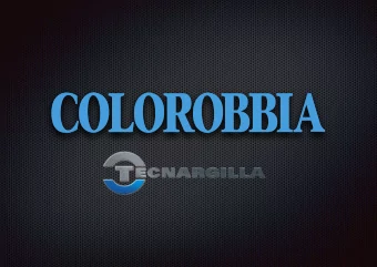 UNA VISIONE IN PROSPETTIVA  by  Fabio Avoni  VIII MEETING ACIMAC - TECNARGILLA - 27th SEPTEMBER