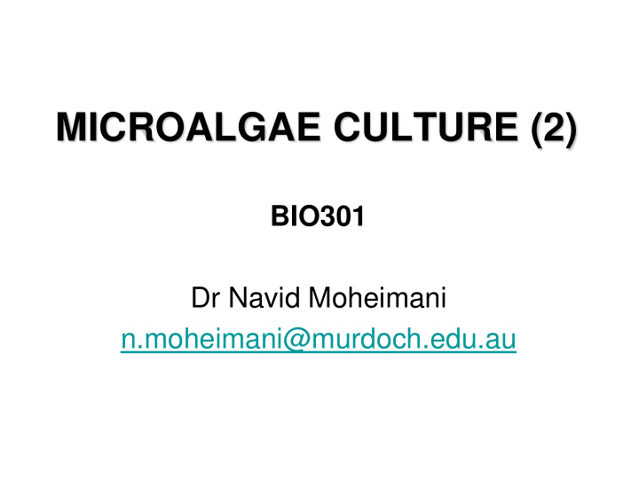 microalgae culture 2