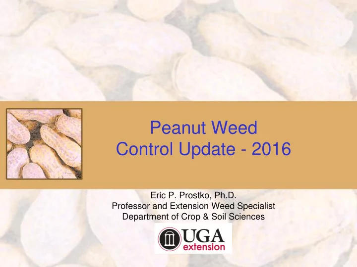 peanut weed