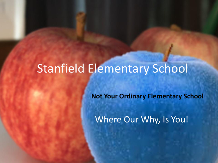stanfield elementary school
