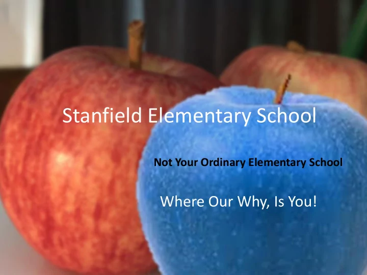 stanfield elementary school