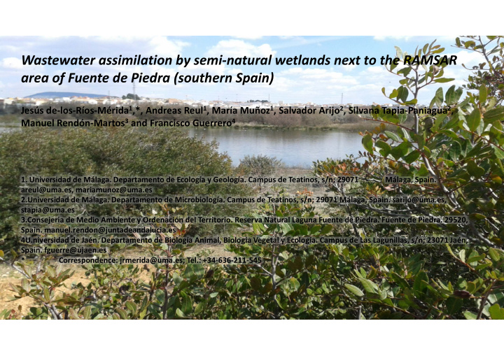 wastewater assimilation by semi natural wetlands next to