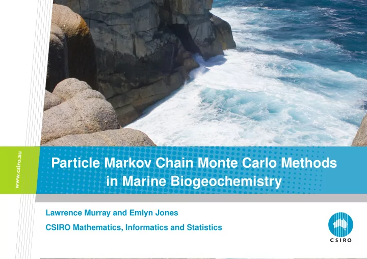 particle markov chain monte carlo methods in marine