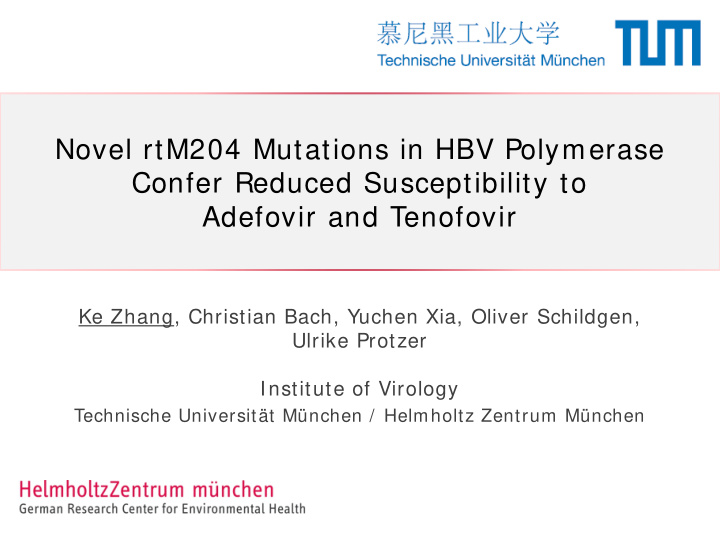novel rtm204 mutations in hbv polymerase confer reduced