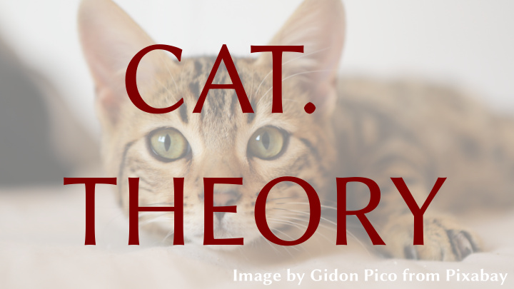 cat theory