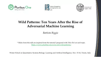 Wild Patterns: Ten Years After the Rise of  Adversarial Machine Learning  Battista Biggio * Slides
