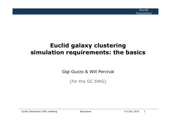 Euclid galaxy clustering simulation requirements: the basics  Gigi Guzzo &amp; Will Percival  (for