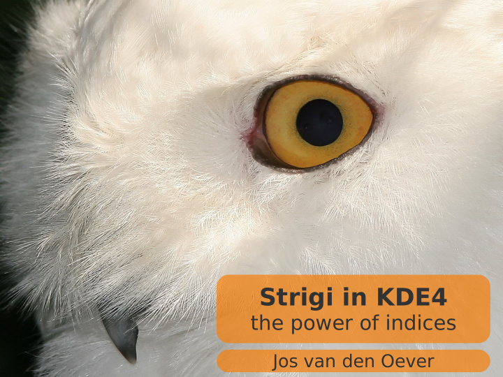 strigi in kde4