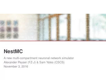 NestMC  A new multi-compartment neuronal network simulator  Alexander Peyser (FZ-J) &amp; Sam Yates