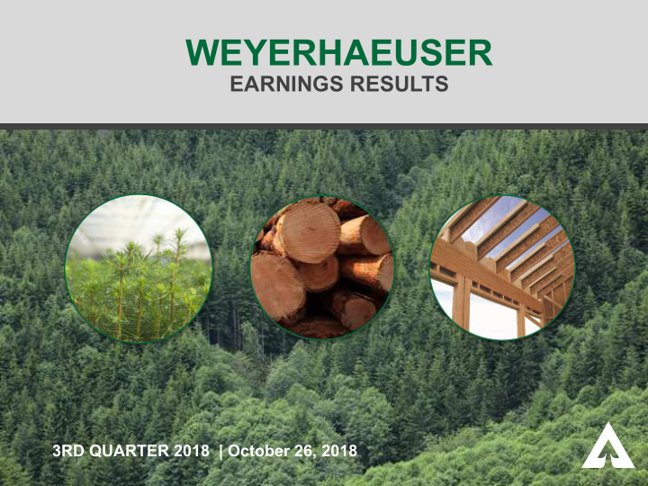 weyerhaeuser