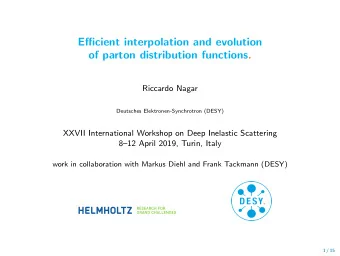 Efficient interpolation and evolution  of parton distribution functions.  Riccardo Nagar  Deutsches