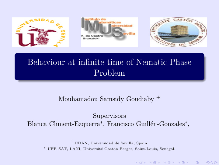 behaviour at infinite time of nematic phase problem