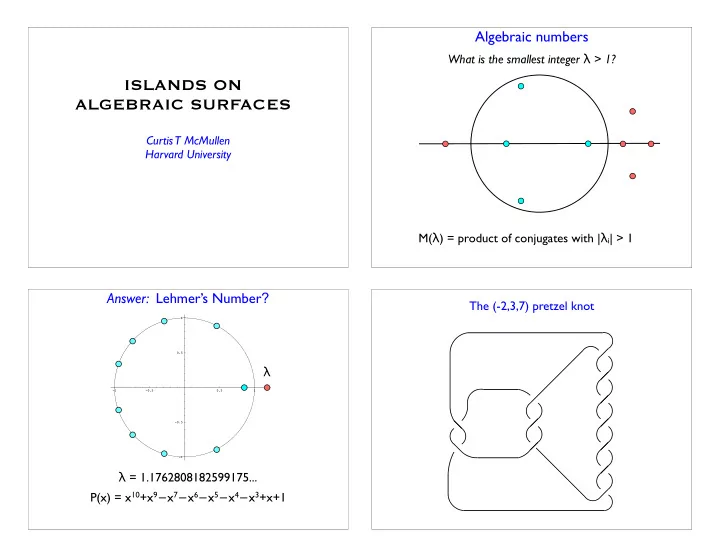 islands on algebraic surfaces