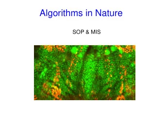 Algorithms in Nature  SOP &amp; MIS  Maximal Independent Set (MIS)    A fundamental problem in