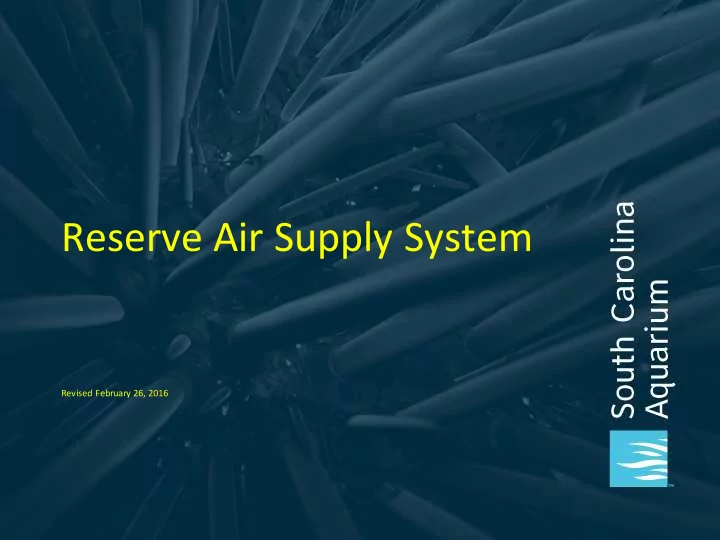 reserve air supply system