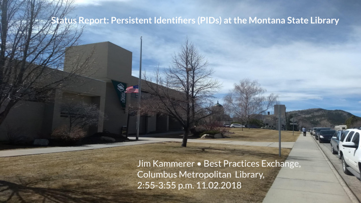 status report persistent identifiers pids at the montana
