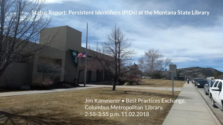 status report persistent identifiers pids at the montana