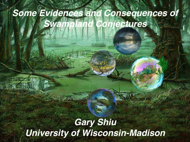 some evidences and consequences of swampland conjectures