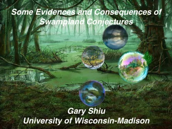 Some Evidences and Consequences of  Swampland Conjectures  Gary Shiu  University of