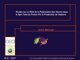JRJC 2009  CEA-Saclay/IRFU/SPhN et la Fondation Nationale de Science. SPIN INTRINS  QUE  Le  spin