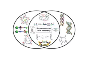 Double stranded helicates  metal  binding domain  bridge  substitution pattern  Double helicates