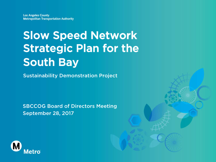 slow speed network slow speed network strategic plan for