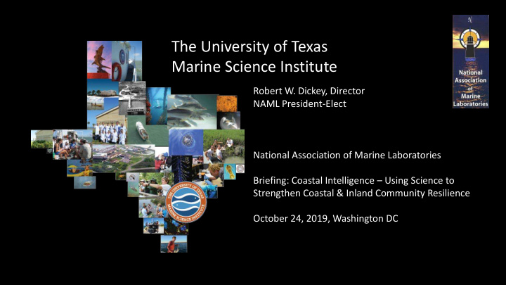 the university of texas marine science institute