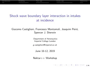 Shock wave boundary layer interaction in intakes  at incidence  Giacomo Castiglioni, Francesco
