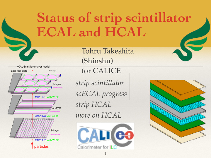 status of strip scintillator ecal and hcal