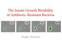 the innate growth bistability of antibiotic resistant