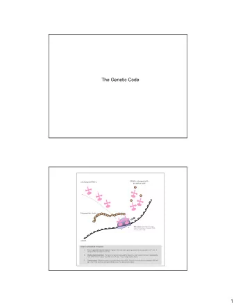 1  anticodon  codon  A A A  U U U  mRNA 5  3   Relationship between RNA and amino acid