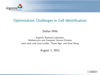 Optimization Challenges in Cell Identification  Stefan Wild  Argonne National Laboratory