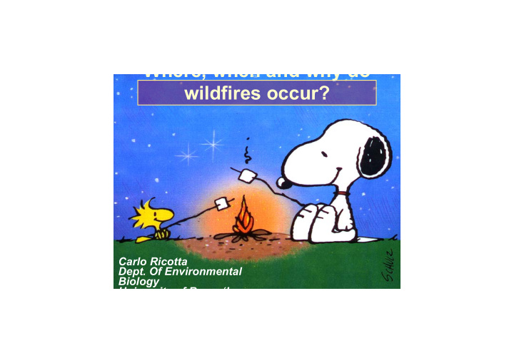 where when and why do wildfires occur