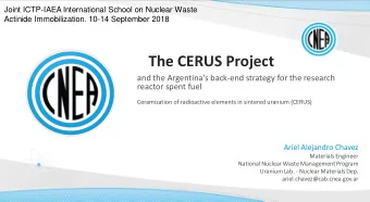 The CERUS Project  and the Argentina's back-end strategy for the research  reactor spent fuel