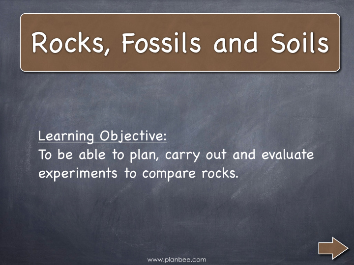 rocks fossils and soils