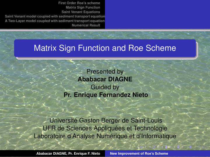 matrix sign function and roe scheme