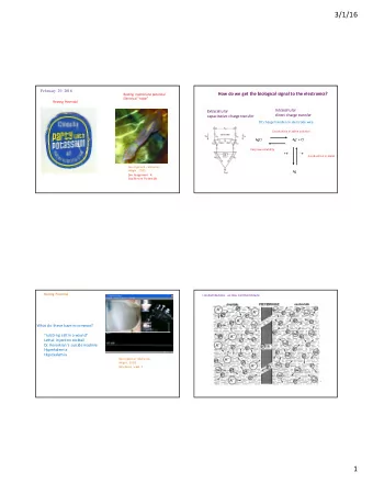 3/1/16  February 29, 2016  How  do  we  get  the  biological  signal  to