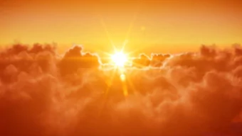 Relax Into Enlightenment  W E L C O M E  S H A U M B R A  W O R L D W I D E  Wings through the