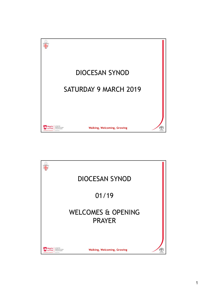 diocesan synod saturday 9 march 2019