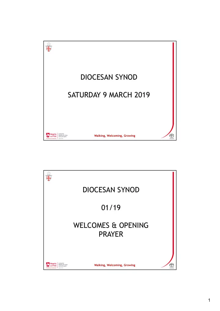 diocesan synod saturday 9 march 2019