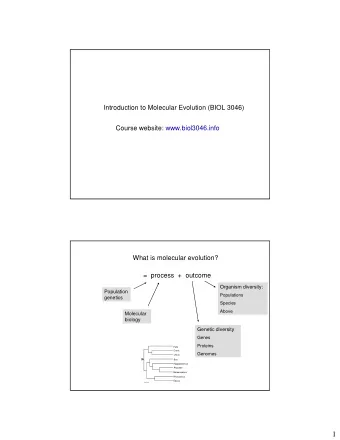 1  molecular evolution  molecular phylogenetics  evolution of molecules  genomics  bioinformatics