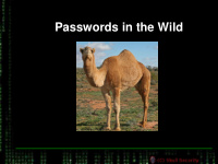 passwords in the wild passwords in the wild who am i my