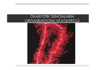 KARYOT  K GENOMLARIN ORGAN  ZASYONU VE KONTROL  (Kaynak: Biyoloji, Campbell &amp; Prof. Dr.