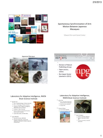 2/5/2013  Spontaneous Synchronization of Arm  Motion Between Japanese  Macaques  Edward Kim and